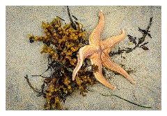 Harris 042  Luskentyre Beach