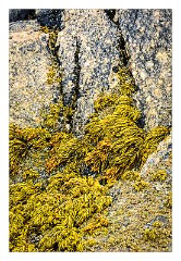 Harris 053  Luskentyre Beach