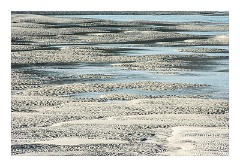 Harris 056  Luskentyre Beach