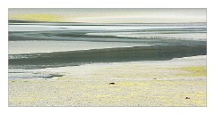 Harris 059  Luskentyre Beach Patterns