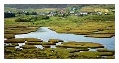 Harris 090  West Harris Salt Marshes