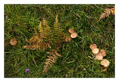 Harris 097  South Harris