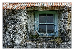 Harris 100  Rachel Morrisons Croft