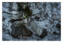 Harris 101  Rachel Morrisons Croft