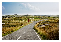 Lewis 18  West Lewis