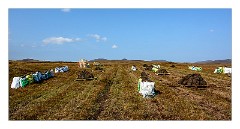 North Uist 12  Collecting Peat