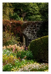Skye 32  Dunvegan Castle Gardens