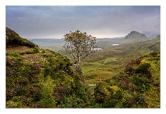 Skye 51  The Quiraing