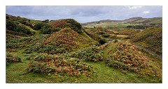 Skye 65  The Fairy Glen