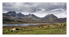 Skye 73  On route to Elgol