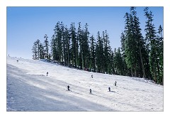 California 05  Sierra Ski Resort