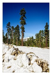 California 09  Sierra Ski Resort