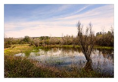 California 17  Walking through the Wetlands to the play area