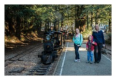 California 24  Redwood Valley Railway