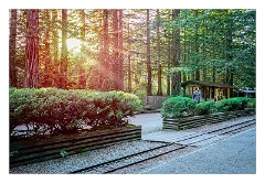 California 25  Redwood Valley Railway
