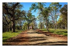California 34  Hidden Falls Regional Park, Placer County