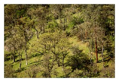 California 35  Hidden Falls Regional Park, Placer County