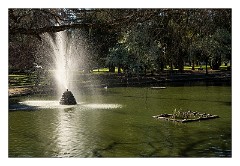 California 36  East Sacramento, McKinley Park