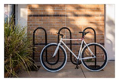 California 49  Lodi, near Sacramento