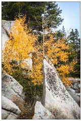 California November 01  Yosemite Autumn Colours