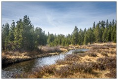 California November 02  Tuolumne Meadows, Yosemite Autumn Colour