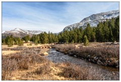 California November 03  Tuolumne Meadows, Yosemite Autumn Colour