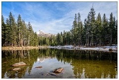 California November 04  Tuolumne Meadows, Yosemite Autumn Colour