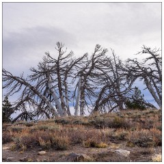 California November 07  Mammoth Minaret Summit