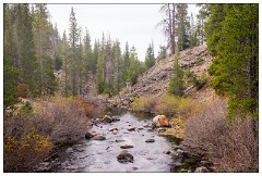 California November 11  Devil's Postpile Mammoth