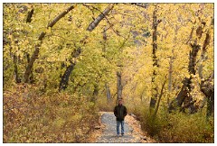 California November 13  Roland in Autumn Colours Convict Lake
