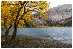 California November 14  Convict Lake