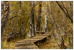 California November 15  The Boardwalk Convict Lake