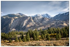 California November 20  Mammoth Creek Road Autumn Colours