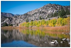 California November 32  Colour at Gull Lake