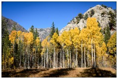 California November 33  June Lake Loop Drive