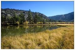 California November 35  Silver Lake