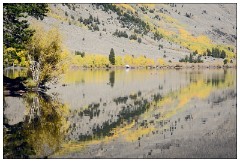California November 37  Reflections Silver Lake