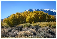 California November 39  Parker Lake Road