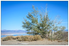 California November 41  View from the Visitor Centre Mono Lake