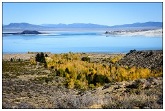 California November 44  View from the Visitor Centre Mono Lake