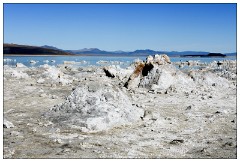 California November 45  Strange Water Strange Tufa on Mono Lake