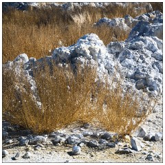 California November 47  Strange Water Strange Tufa on Mono Lake