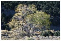 California November 49  Mono Lake