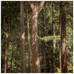California November 53  Bodie State Historic Park on the Boarder of California and Nevada