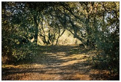 California November 56  Bodie State Historic Park on the Boarder of California and Nevada