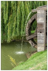 Jessica's August Visit 07  Mountfitchit Castle, Stamford, Essex