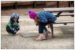 California November 02