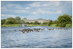 Nikki and Jason's Visit July 002  On the River at Ely