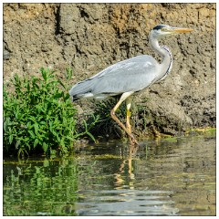Nikki and Jason's Visit July 003  On the River at Ely