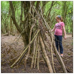 Nikki and Jason's Visit July 030  Anglesey Abbey Woods